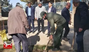 پویش درختکاری در کتابخانه عمومی شهید باهنر کاخک اجرا شد