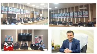 ۸  هزار شاخه گل نرگس به آستان مقدس امام هشتم اهدا خواهد شد