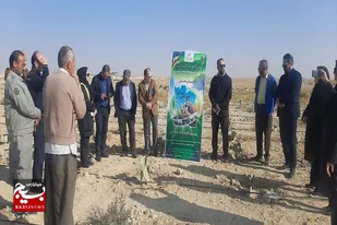 هشتمین کاروان ترویجی بهره&zwnj;وری الگوی کشت در سرخه برپا شد