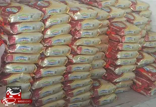 پنج تن برنج دولتی در پلدختر کشف شد