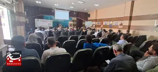 طلای سرخ در انتظار کشاورزان/کارگاه آموزشی چای ترش درلالی