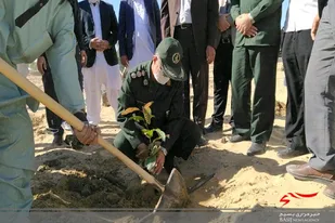 کاشت ۶۰ نهال به یاد شهید سلیمانی در دانشگاه بین المللی چابهار