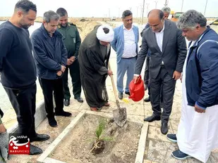 کاشت بیش از 1000 نهال توسط گروههای جهادی در عسلویه