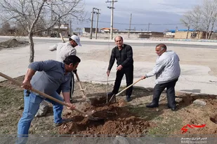 غرس 50 نهال به همت گروه جهادی شهید &laquo;فخیمی&raquo; در روستای نظام آباد درگزین