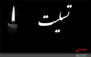امام جمعه شهر برازجان درگذشت پدر نماینده اسبق دشتستان را تسلیت گفت.