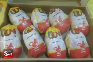 کشف هفت تن و ۵۰۰ کیلوگرم مرغ احتکار شده در زاهدان