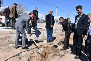 برگزاری مراسم جشن روز درختکاری در مرکز تحقیقات و آموزش کشاورزی شاهرود +تصاویر