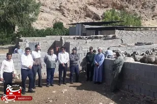 برگزاری رزمایش فجر خودکفایی در قالب فجرآفرینان عرصه کشاورزی و دامپروری در کازرون