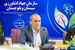 رکورد جوجه ریزی در واحدهای مرغداری سیستان وبلوچستان از ۲۲ میلیون قطعه فراتر رفت