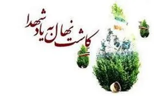 کاشت درخت به یاد شهید در منزل خانواده شهدا دلیجان