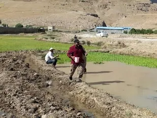 اردوی جهادی با طعم آبلیمو