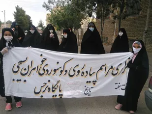 همایش پیاده روی بانوان بسیجی شاهرود به مناسبت هفته عفاف و حجاب+ تصاویر