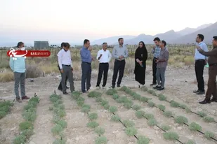 رشد هر دانه&zwnj;ای، در دل خاک تاریک آغاز می&zwnj;شود؛ پس از تاریکی نترس/ توانمندی مسیر است نه برچسب