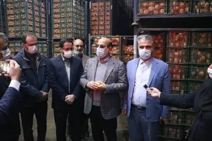 ۸۰ درصد میوه تنظیم بازار قزوین تا قبل از سال نو عرضه می&zwnj;شود