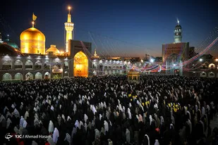 برخورد تربیتی امام رضا (ع) در جامعه چگونه بود؟