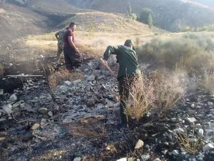 آتش سوزی در مراتع روستای کهنه جغتای توسط بسیجیان مهار شد