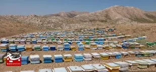 اشتغالزایی برای بیش از ۲ هزار نفر با حمایت بسیج سازندگی