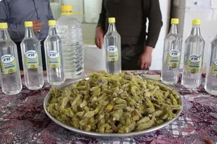 نخستین جشنواره بیدمشک (گلبیز) در مهریز