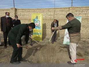 به مناسبت روز درختکاری بیش از 30 راس درخت در سپاه درگز کاشته شد
