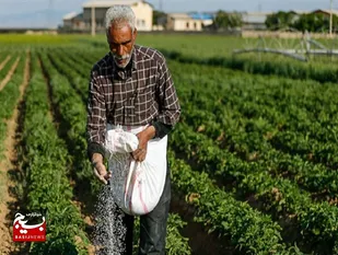 اجرای ۱۶۰ طرح اشتغال زا در لالی