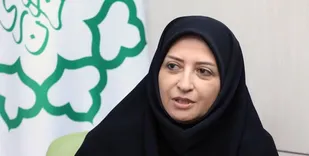 راهکار اساسی جهت مقابله با آلودگی هوا در پایتخت