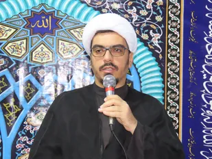 اهانت به امام رضا (ع) خط قرمز هر ایرانی است