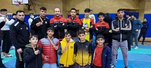 درخشش تیم ووشوی شهرداری باقرشهر در مسابقات قهرمانی استان تهران