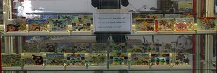 صنایع&zwnj;دستی یزد در حال احتضار است/ پذیرفته نیست مسئول در محل کار دنبال بورس باشد