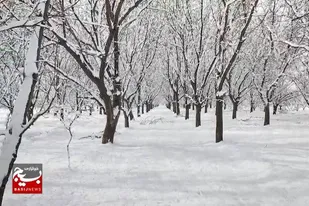 طبیعت بسیار زیبای برفی روستای تکه نهاوند