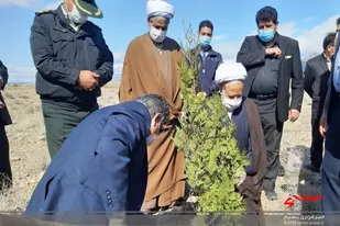 مراسم درختکاری در شهرستان خلیل آباد
