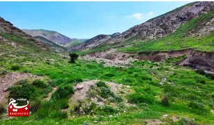 مراتع صدها همت آورده اقتصادی برای استان دارند