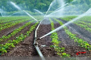 مجهز شدن ۷۰۰۰ هکتار از اراضی لرستان به سیستم&zwnj;های نوین آبیاری