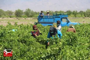 انقلاب خورشیدی در شهرستان خلیل&zwnj; آباد