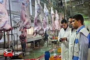 هشدار دامپزشکی اهواز؛ مصرف گوشت قرمز غیر مجاز، تهدیدی جدی برای سلامت شهروندان