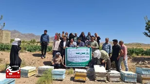 روز مزرعه زنبور عسل در روستای قوچ پلنگ کاشمر برگزار شد