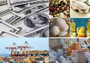 منابع ارزی کالاهای اساسی به یغما رفت/ عدم نظارت در اختصاص ارز دولتی برای واردات نهاده&zwnj;های دامی