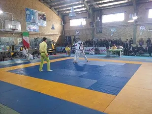 مسابقات جوانان و بزرگسالان رزم&zwnj;آوران به میزبانی شهرستان بهار برگزار شد