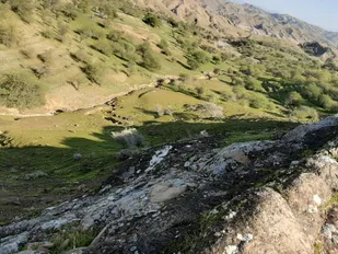 آبرسانی به آبشخورهای حیات&zwnj;وحش &laquo;چهل&zwnj;پا&raquo; اندیمشک برقرار شد