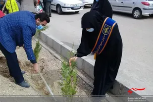 غرس درخت به همت جهادگران حوزه حضرت مریم (س) دامغان در شهرک صنعتی شهرستان