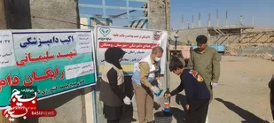 اردوی جهادی شهید سلیمانی در رومشکان با محوریت واکسیناسیون و خدمات دامپزشکی برگزار شد