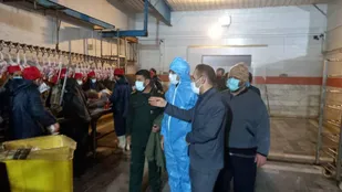 سرکشی از کشتارگاه گلچین طیور سمنان انجام شد+عکس