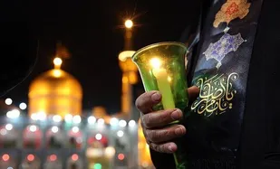چرا به امام رضا علیه السلام عالم آل محمد می گویند