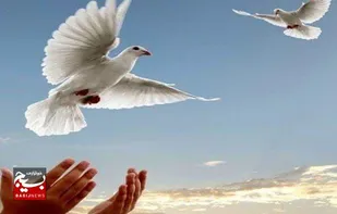 کمک به آزادی دو زندانی محکوم مالی با کمک بسیج رسانه شهرستان بابل