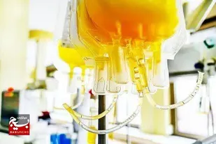 موضوع اهداء پلاسما یک مسئله ملی است