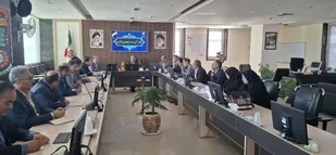 رفع مشکلات زمین مهمترین اولویت در توسعه نیروگاه&zwnj;های خورشیدی است
