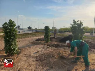 ۲۴۱ هکتار فضای سبز در شهرک&zwnj;ها و نواحی صنعتی استان اردبیل اجرا شد
