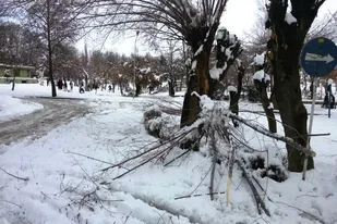 رخ&zwnj;نمایی زمستان در ملایر