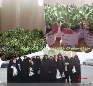 رویش چشمگیر تذکر لسانی در سطح جامعه