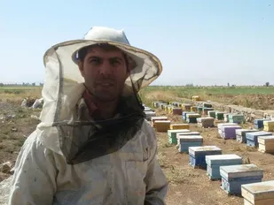 عسل&zwnj;های چینی تهدیدی برای زنبورداران