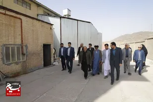 بازدید از مجتمع تولید خوراک دام و طیور در زاهدان